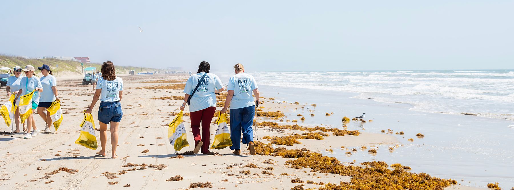 Volunteers walking the shoreline together during a Port Aransas cleanup